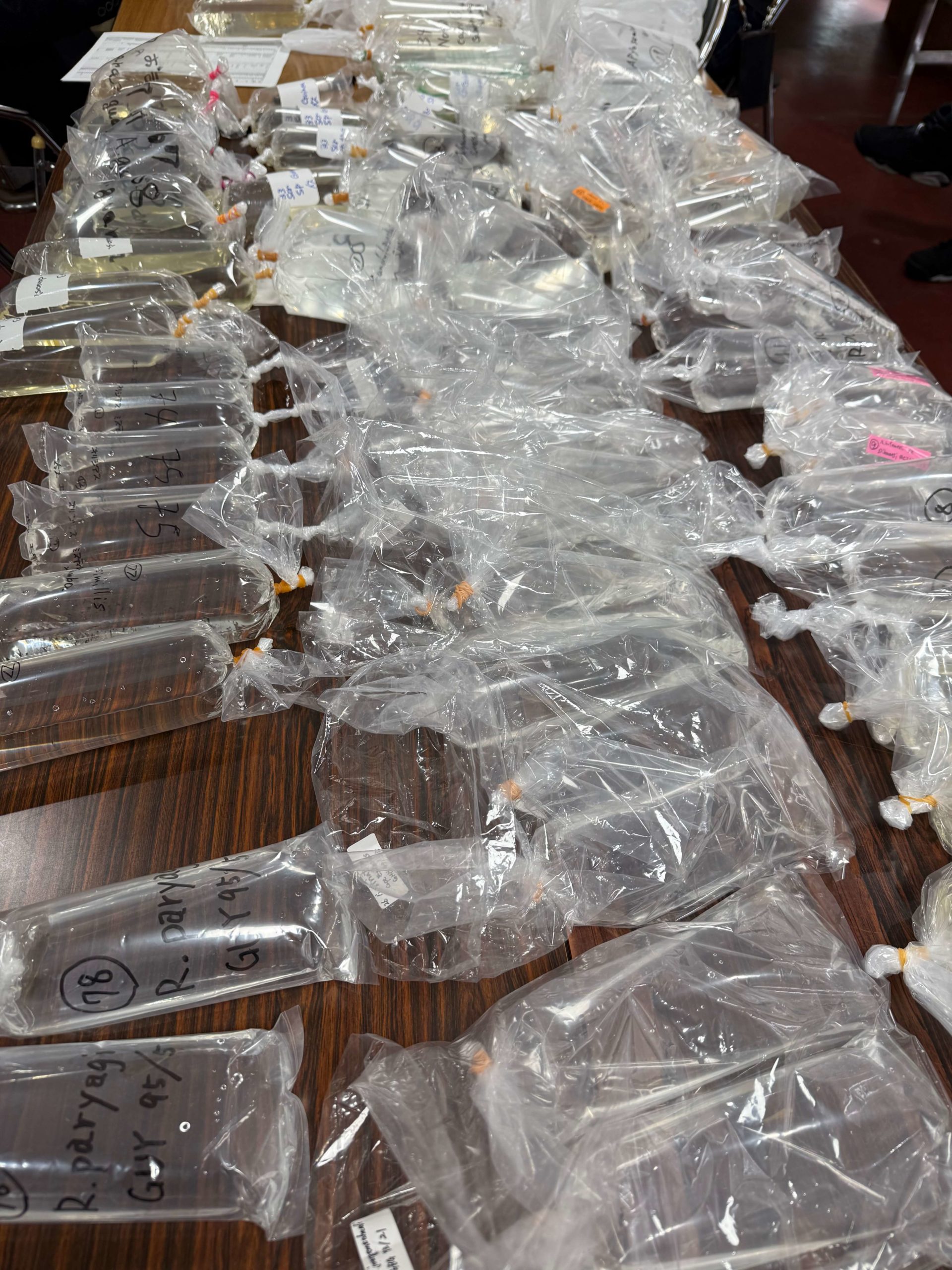 KCJ秋のオークション